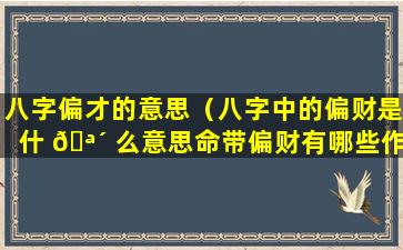 八字偏才的意思（八字中的偏财是什 🪴 么意思命带偏财有哪些作用）